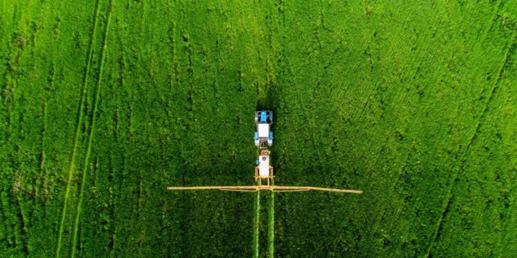 Poucas cidades no Brasil produzem sua própria comida. Quais são?