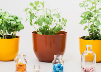 Melhor guia para cultivar uma horta antioxidante em casa