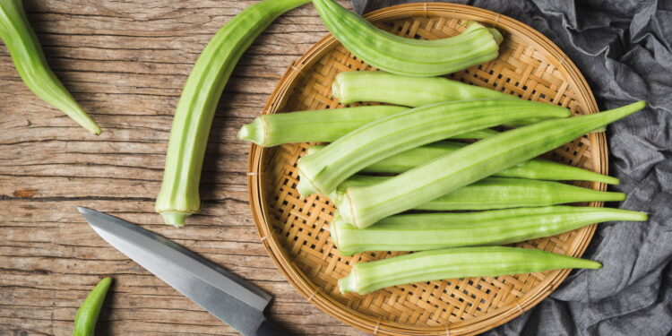 Tudo o que você precisa saber para cultivar quiabo em casa