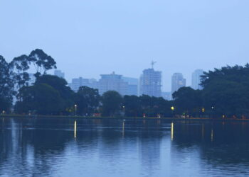 Ibirapuera  - Créditos: depositphotos.com / Bertolo