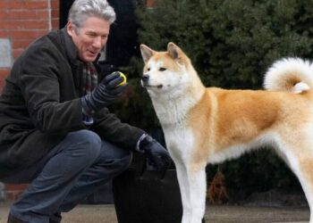 Sempre ao Seu Lado raça akita