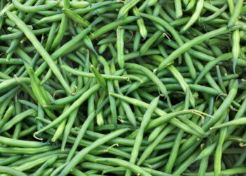 Passo a passo para cultivar vagem em casa com praticidade