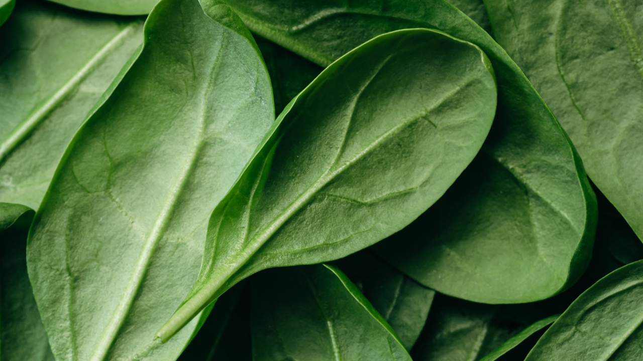 vegetais que acelram metabolismo