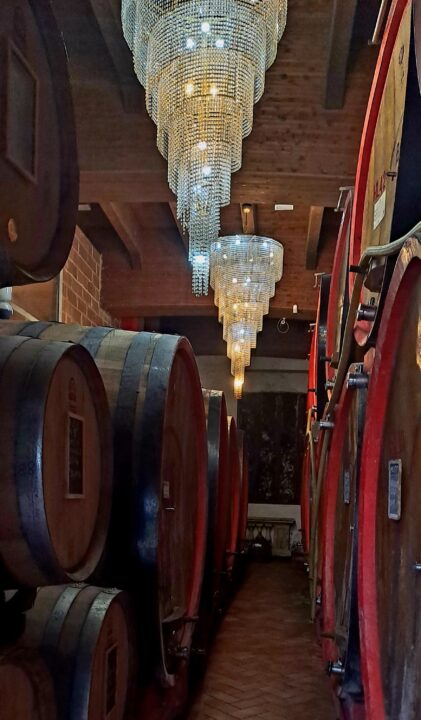 Barricas com vinho da uva sangiovese fermentam até 33 dias na La Togata - Crédito: Paty Moraes Nobre/Arquivo Pessoal