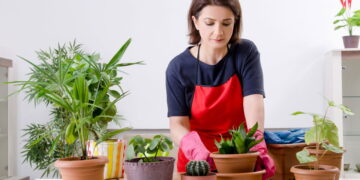 Ilustração de mulher plantando em casa - Créditos: depositphotos.com / Elnur_