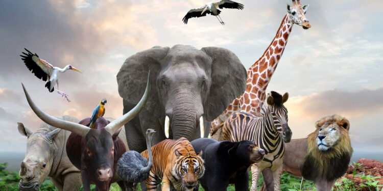 Ilustração de grupo de animais - Créditos: depositphotos.com / razihusin
