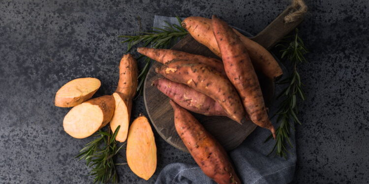 Você nunca imaginou que plantar batata-doce fosse tão fácil
