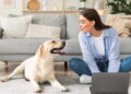 Onde alugar imóveis pet friendly com segurança e praticidade
