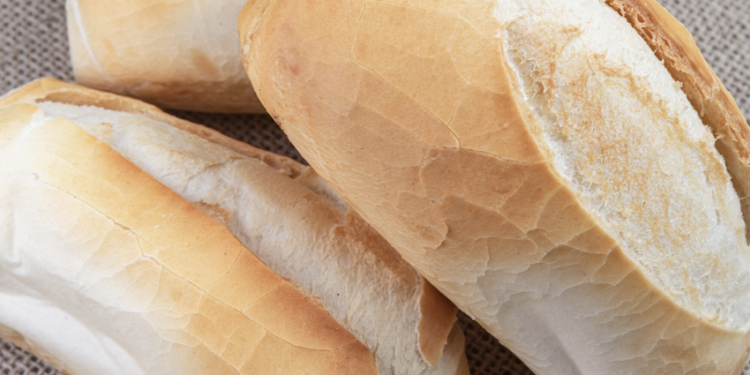 Cachorro pode comer pão? Entenda. Foto: FreePik
