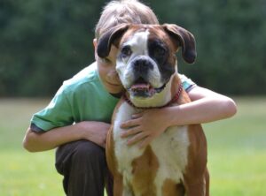 Você sabia que os cães podem descobrir doenças e ajudar nos tratamentos? Especialistas explicam