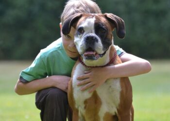 Você sabia que os cães podem descobrir doenças e ajudar nos tratamentos? Especialistas explicam