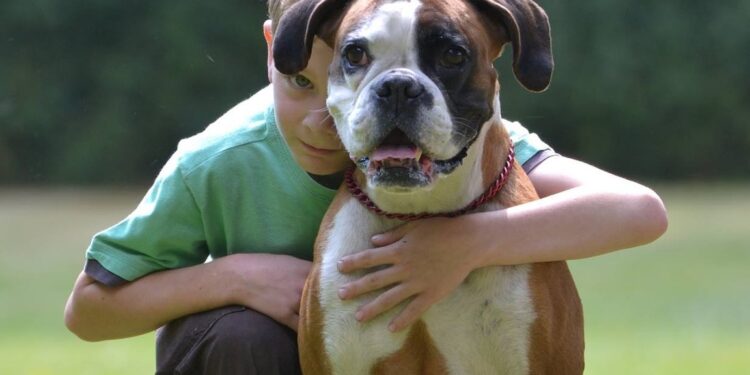 Você sabia que os cães podem descobrir doenças e ajudar nos tratamentos? Especialistas explicam