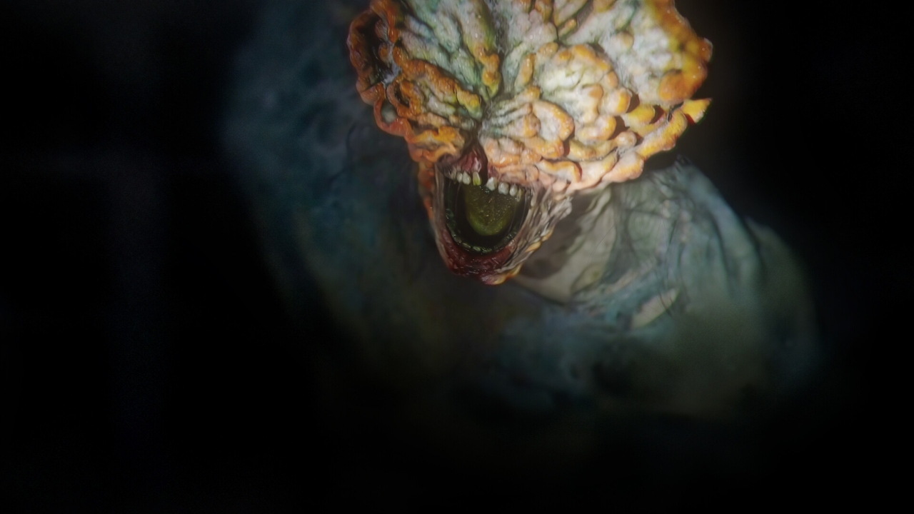 cogumelo no intestino