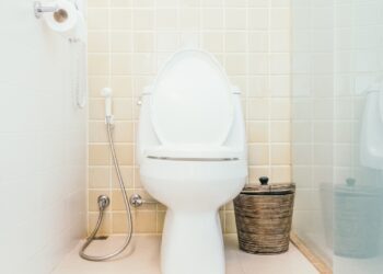 Como limpar vaso sanitário encardido