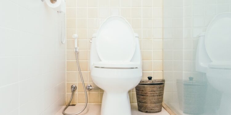 Como limpar vaso sanitário encardido