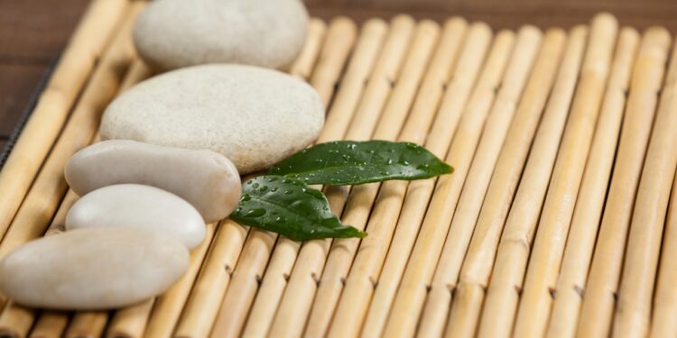 Feng shui para atrair dinheiro