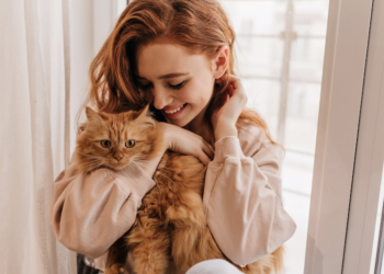 Gatos são carinhosos, sim! Foto: FreePik