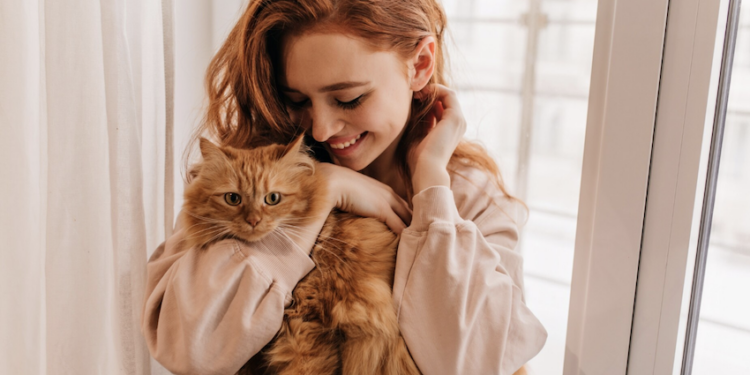 Gatos são carinhosos, sim! Foto: FreePik