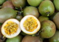 O melhor jeito de plantar maracujá e colher frutos superdoces