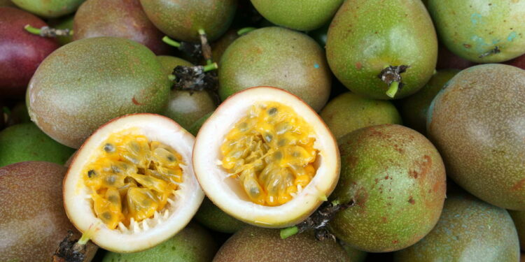 O melhor jeito de plantar maracujá e colher frutos superdoces