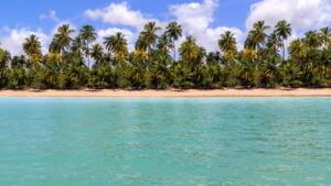 Esse paraíso alagoano está fazendo todo mundo cancelar Cancún