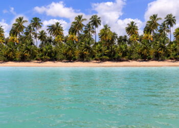 Esse paraíso alagoano está fazendo todo mundo cancelar Cancún