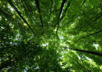 As cidades brasileiras com o melhor contato com a natureza