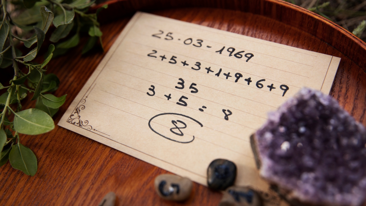 Carolina Dieckmman numerologia