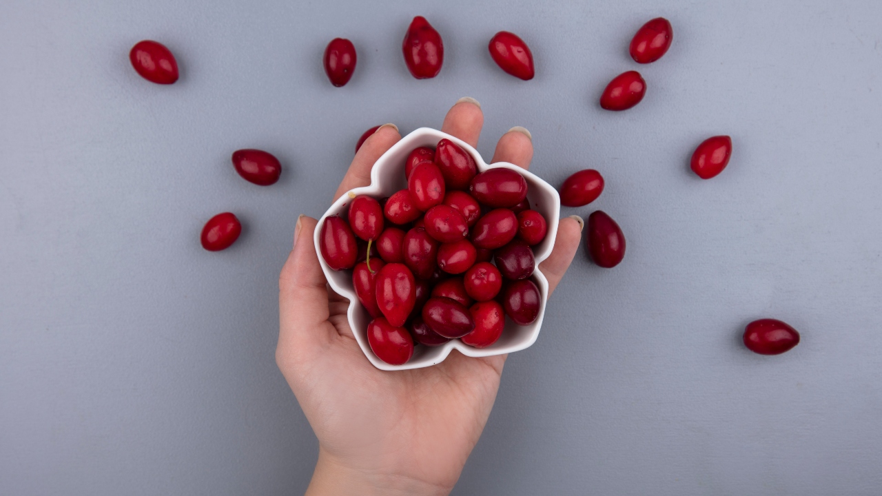 cápsula de cranberry