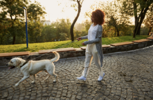 Passear com cachorro pode dar cadeia em um país do Oriente Médio. Foto: FreePik