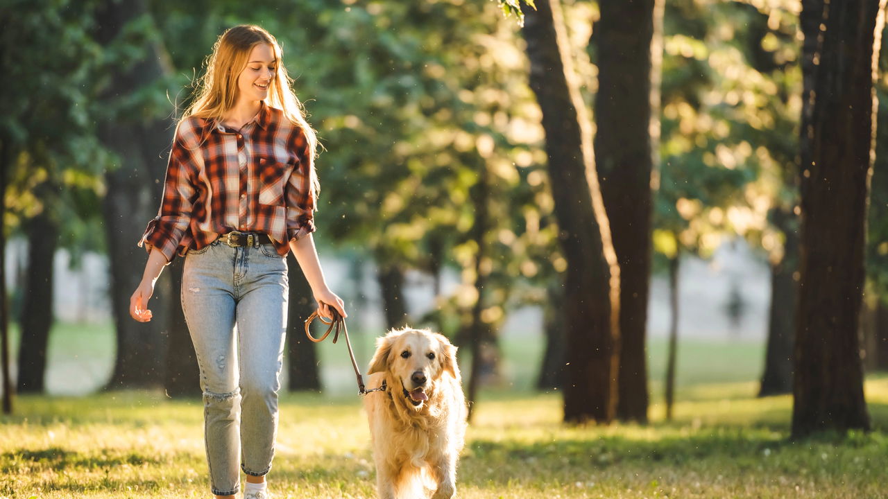Onde alugar imóveis pet friendly com segurança e praticidade