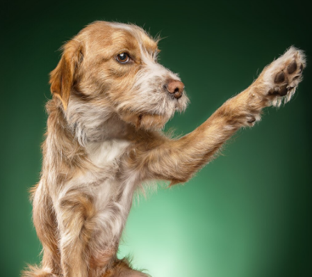 Será que é verme? Foto: FreePik