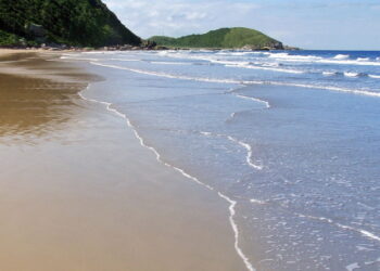 Turismo sustentável aliado à educação ambiental em ecossistema de Mata Atlântica