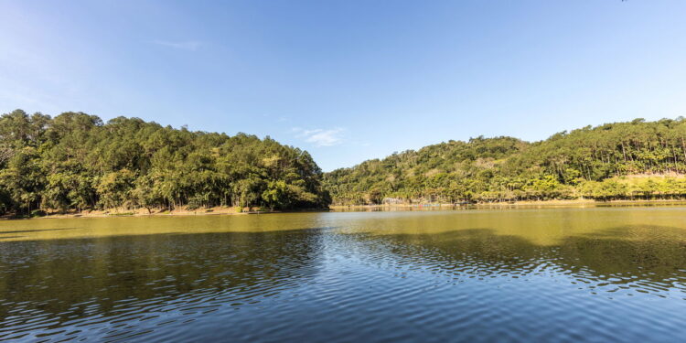 Parque de Jaraguá do Sul - Créditos: depositphotos.com / paulobaqueta