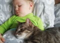 Gato e criança dormindo - Créditos: depositphotos.com / milastokerpro