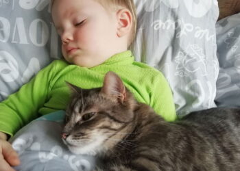 Gato e criança dormindo - Créditos: depositphotos.com / milastokerpro