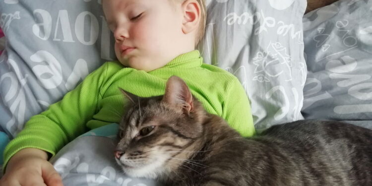 Gato e criança dormindo - Créditos: depositphotos.com / milastokerpro