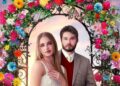 onde assistir as gêmeas e o magnata