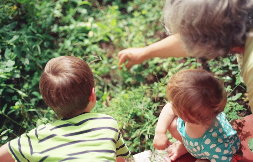 A ciência explica conexão entre netos e avós. Foto: Unsplash