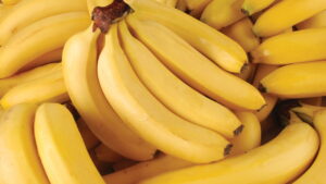 O guia definitivo para plantar banana no quintal com sucesso