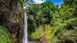 Viver cercado pela natureza pode mudar sua vida sem você perceber