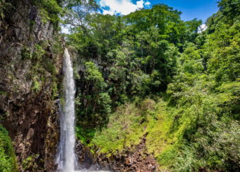 Viver cercado pela natureza pode mudar sua vida sem você perceber