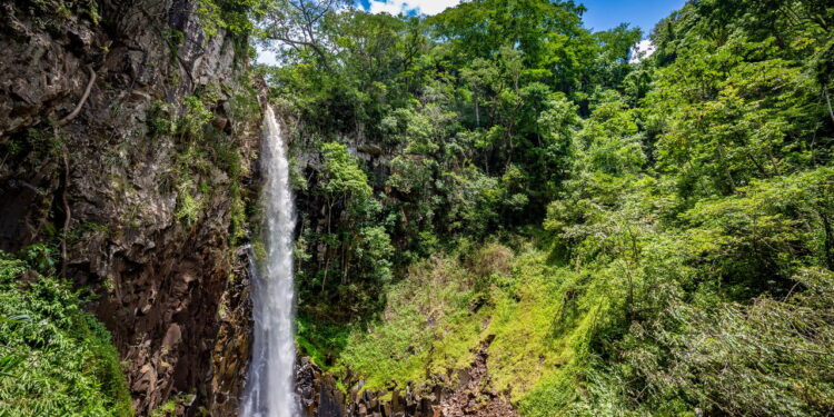 Viver cercado pela natureza pode mudar sua vida sem você perceber