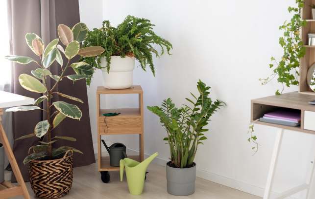 Deixe sua casa mais verde. Foto: FreePik