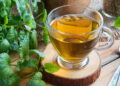 Saiba como cultivar erva-cidreira perfeita para fazer chás relaxantes