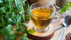 Saiba como cultivar erva-cidreira perfeita para fazer chás relaxantes