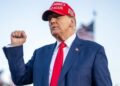 Dólar em alta Trump