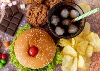 alimentos ultraprocessados