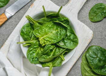 A maneira mais simples de plantar espinafre em casa com sucesso