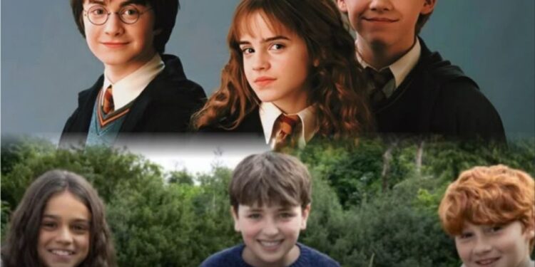 Elenco Harry Potter - Créditos: Imagem Divulgação Instagram @adorocinema